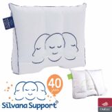 Silvana Support Fluorine